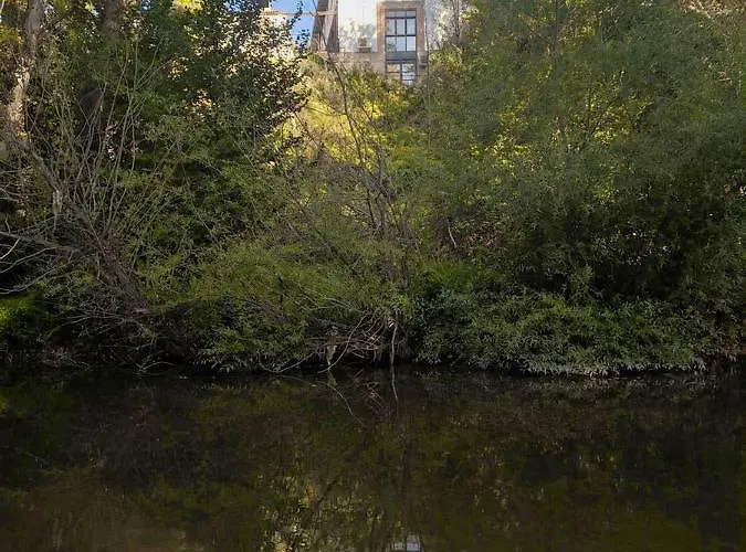 La Casona De Cinco Canos 펜션